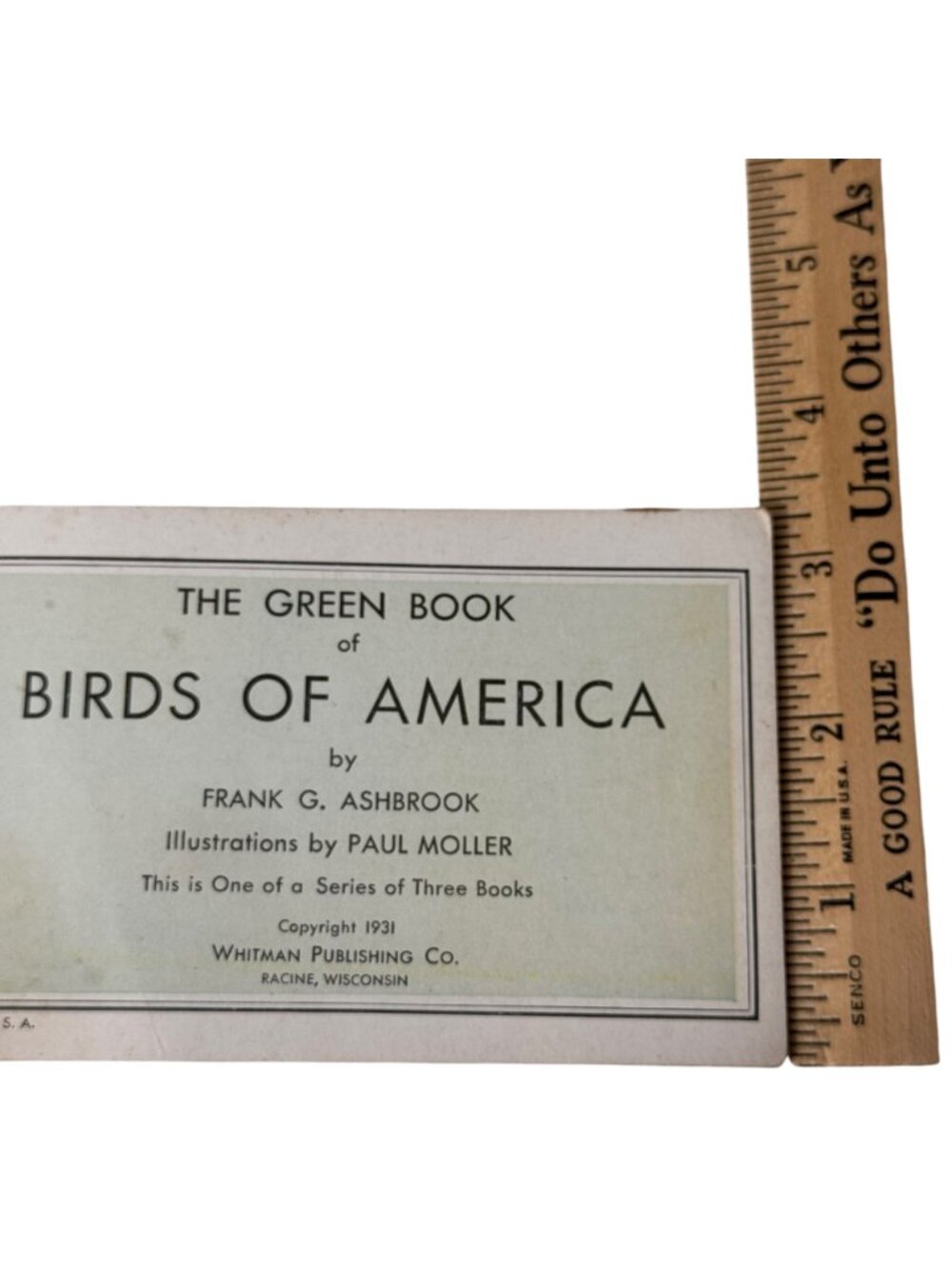 Vintage 1931 "The Green Book Of Birds Of America" By Frank G. Ashbrook - Picture 5 of 16